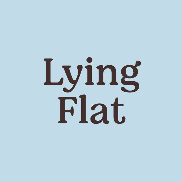 Lying Flat World